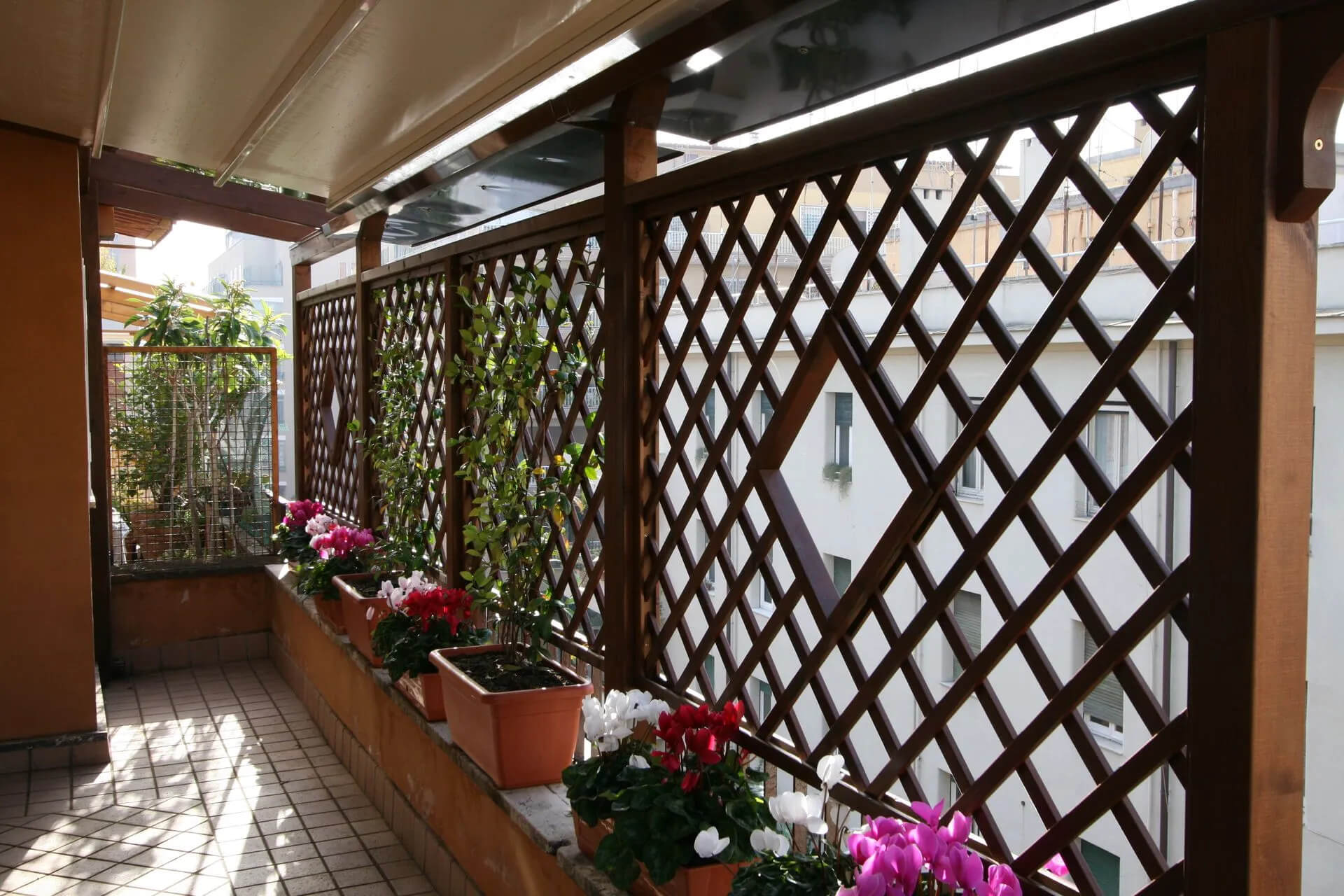 Frangivista legno Roma